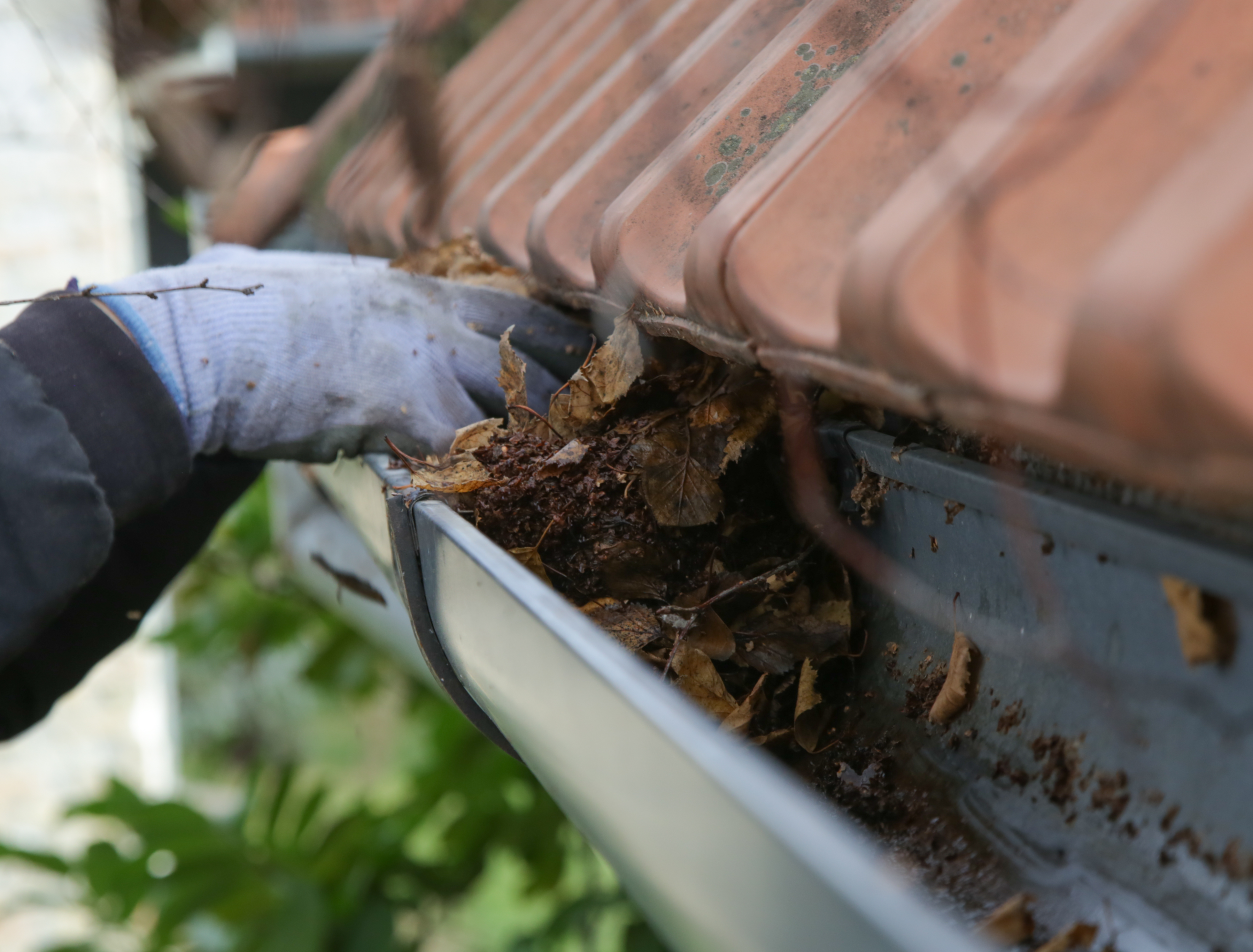 Gutter Cleaning